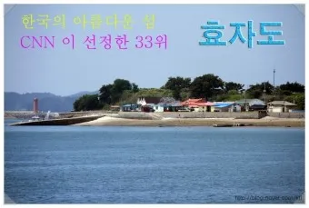 효자도 배시간표 배편 예매 요금 민박_15