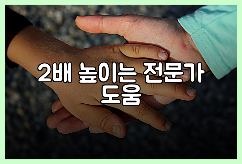 2배 높이는 전문가 도움