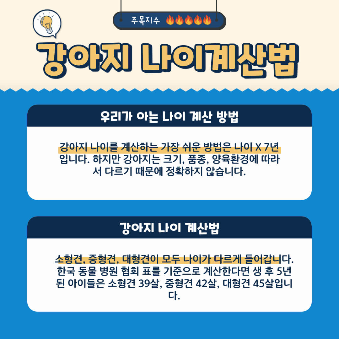 일반적으로 아는 나이 계산법&#44; 동물 병원 협회 기준 계산 방법