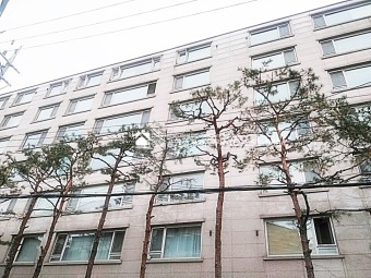 오네뜨 이미지