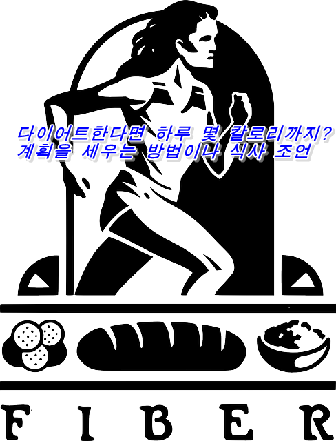  다이어트한다면 하루 몇 칼로리까지? 계획을 세우는 방법이나 식사 조언
