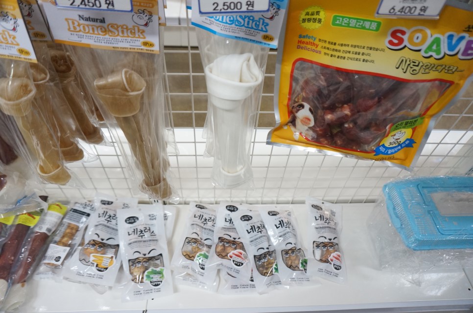 경산 애견분양 펫월드 + 귀여운 댕댕이