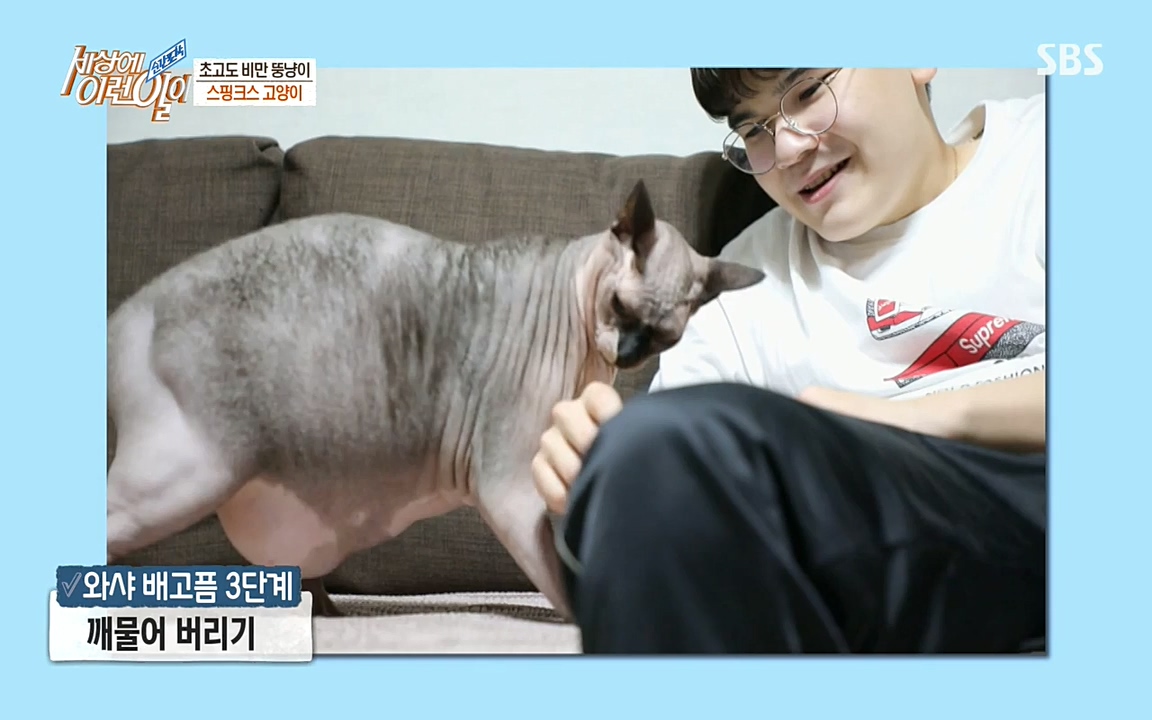 순간포착 세상에 이런일이.E1177.220427p-NEXT.mp4_20220427_183836.433.jpg