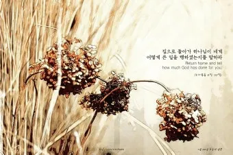 매일 성경 묵상 누가복음 8장 씨뿌리는 자_17