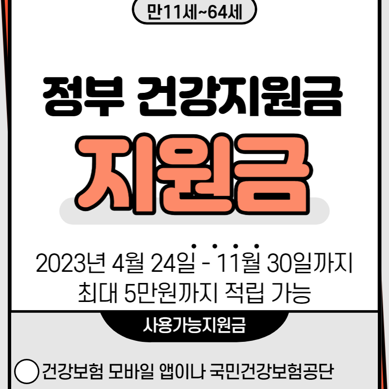  정부 건강지원금 신청하고 5만원 훗닥 가져가기 만11세 - 64세까지