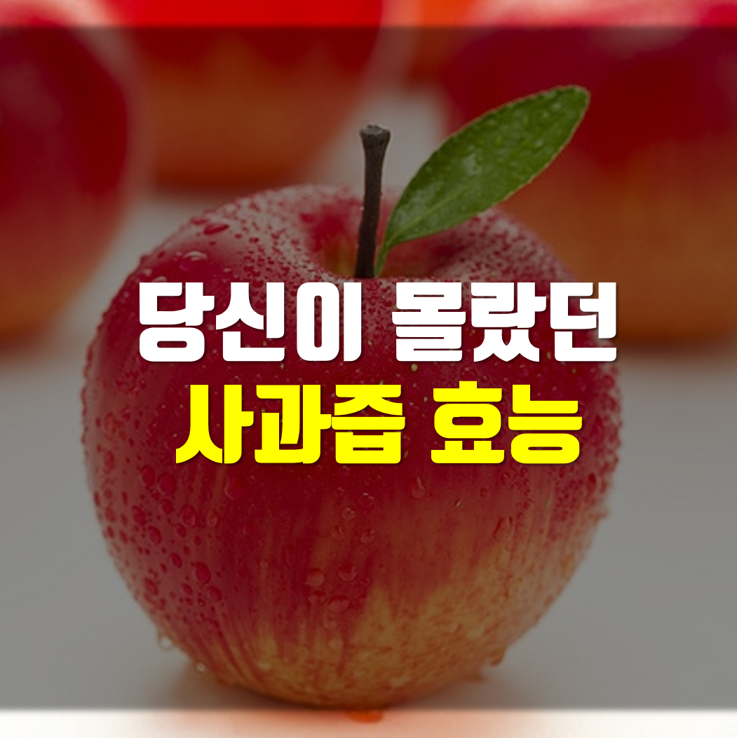  당신이 몰랐던 사과즙 효능 5가지