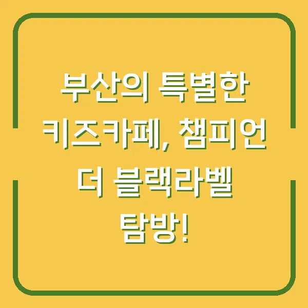 부산의 특별한 키즈카페, 챔피언 더 블랙라벨 탐방!