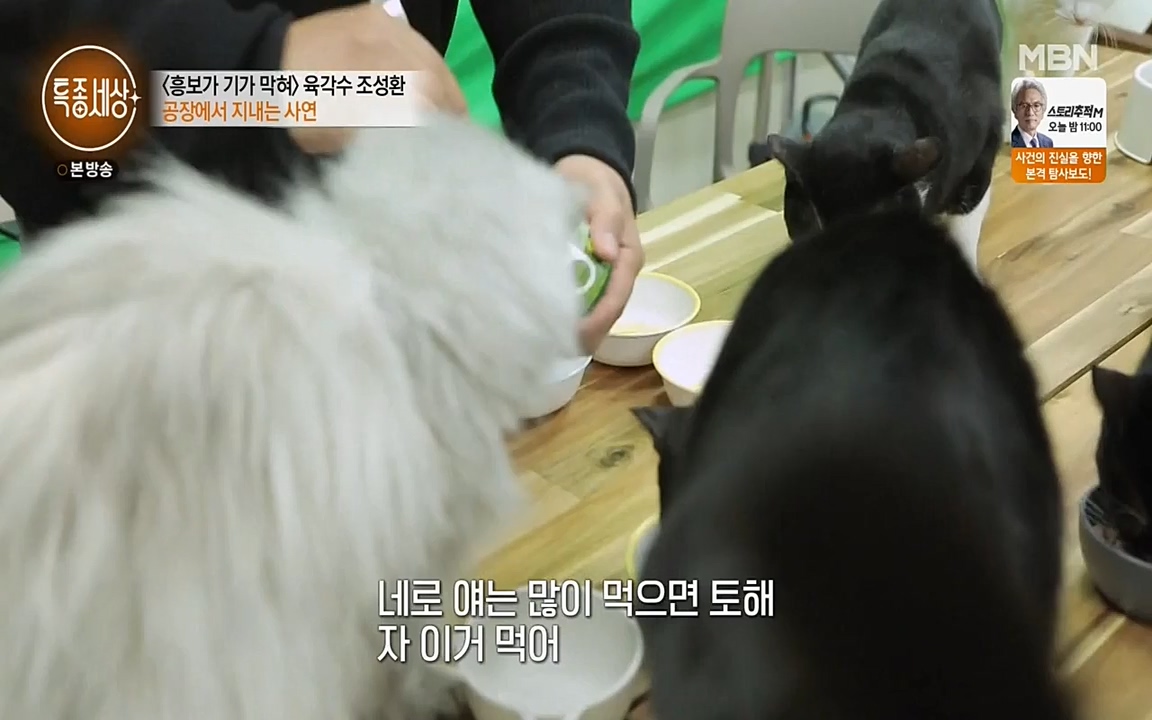 현장르포 특종세상.E526.220415p-NEXT.mp4_20220415_192111.556.jpg