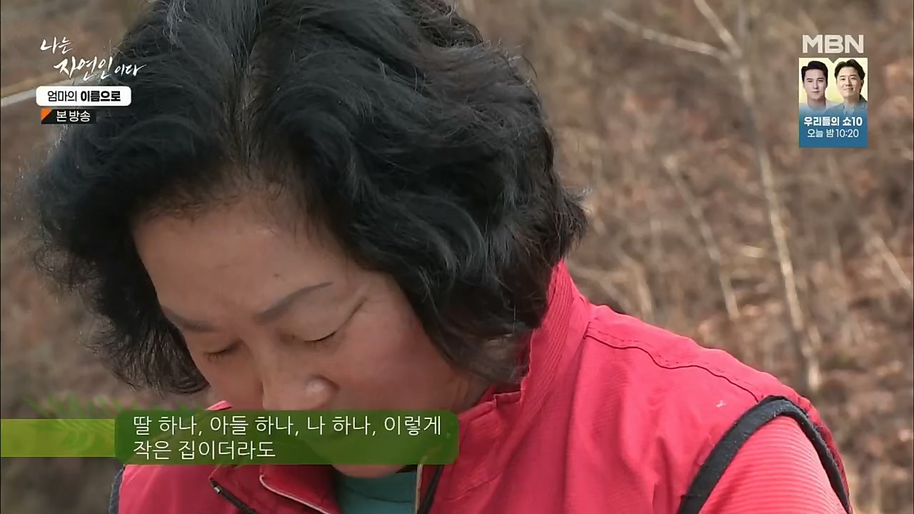 나는 자연인이다.E531.221208p.H264-F1RST.mp4_20221208_204232.510.jpg