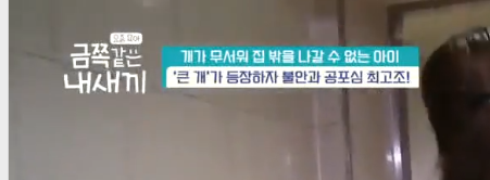  금쪽같은 내새끼 18회의 금쪽이를 보며