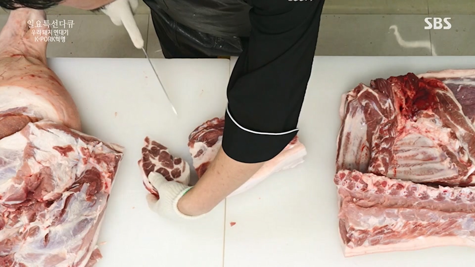 일요 특선 다큐멘터리.E315.230716p.H264-F1RST.mp4_20230717_210609.319.jpg