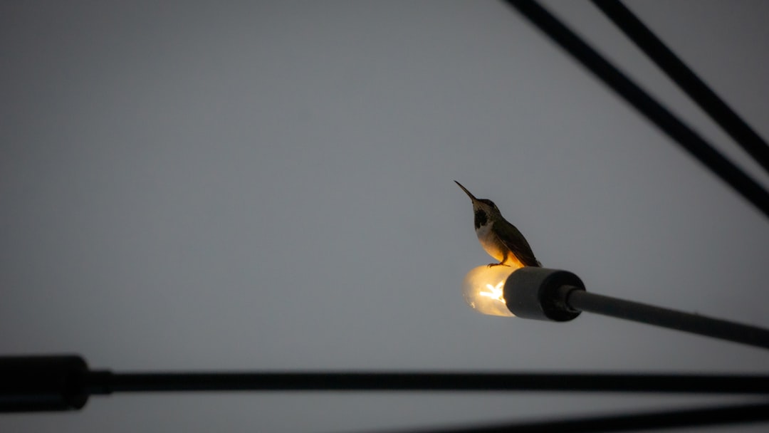 PTO (Power Take-Off)