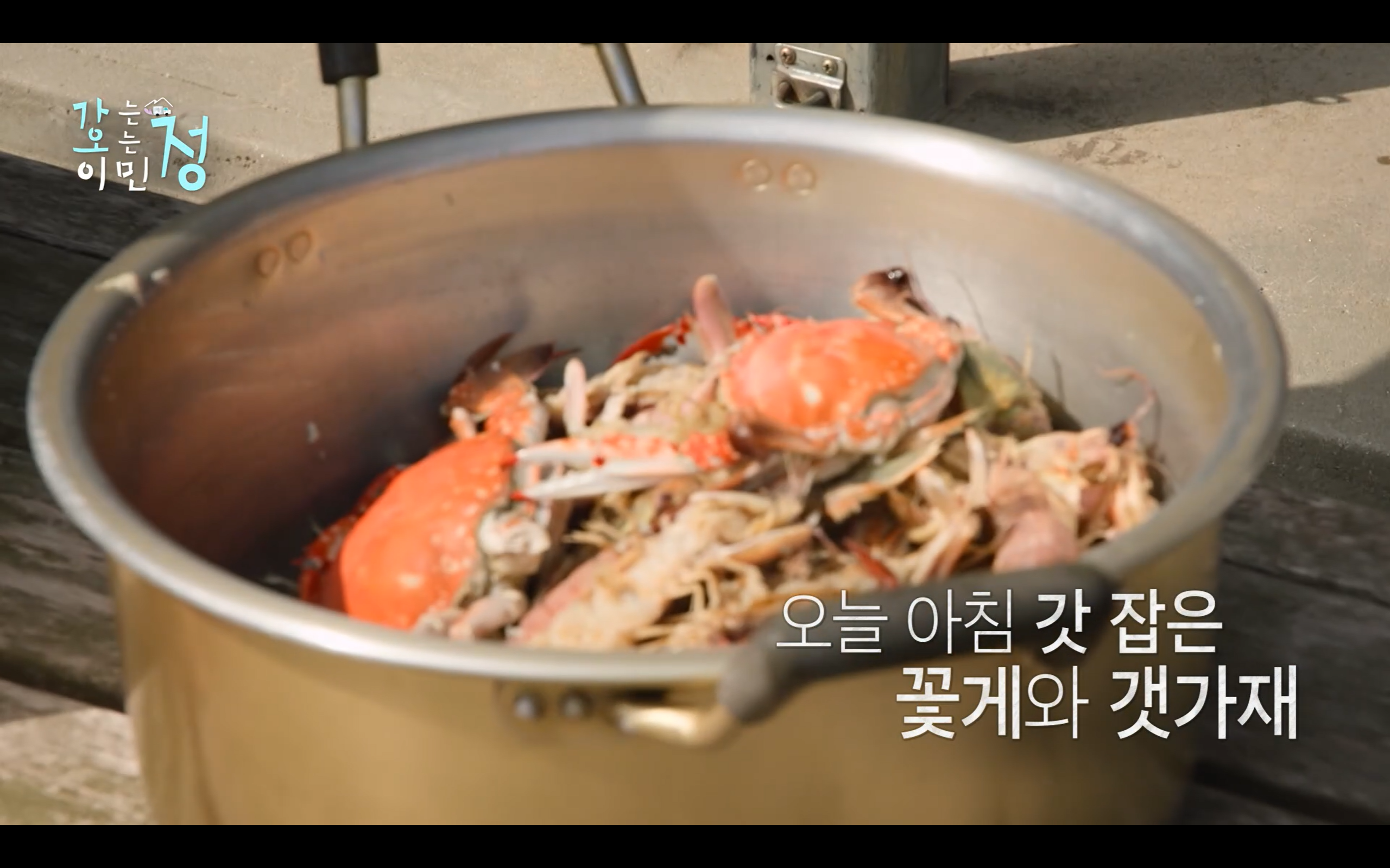 효자도 어르신들 위해서서 시장 전부 털어서 100인분 요리 직접한 이민정 | 인스티즈
