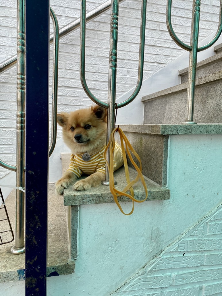 이터널 [부산 기장] 일광당 만두/ 본가 53