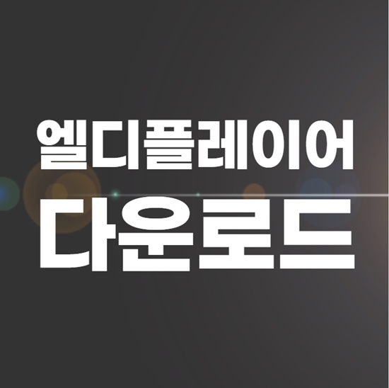  엘디플레이어 다운로드 최적화 1분 완성!