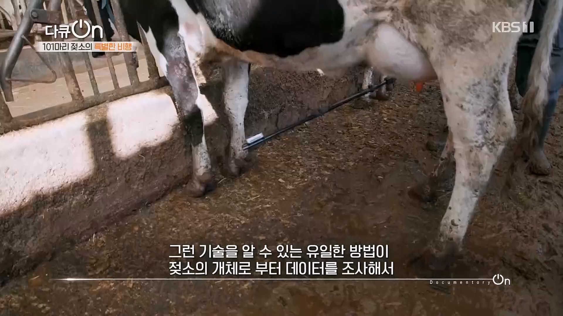 다큐 On.E184.230203p.H264-F1RST.mp4_20230211_175647.241.jpg