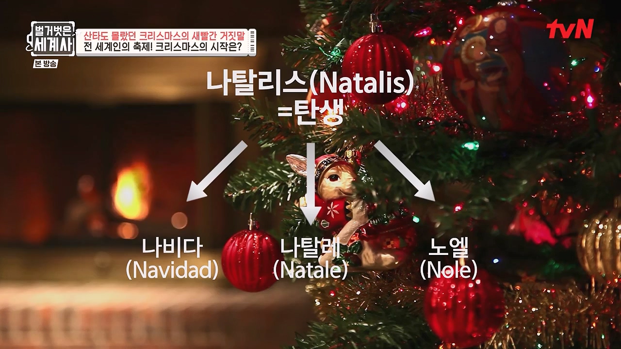 벌거벗은 세계사.E130.231220p-NEXT.mp4_20240623_180946.373.jpg