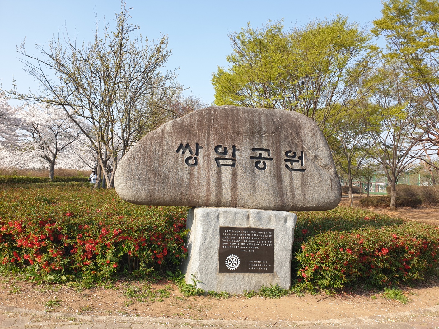 광주벚꽃명소