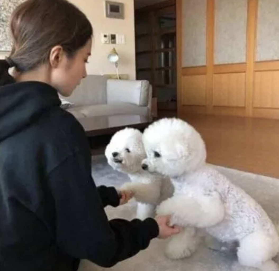 악플 대처 갑이라는 신세경 멘탈 ㄷㄷ