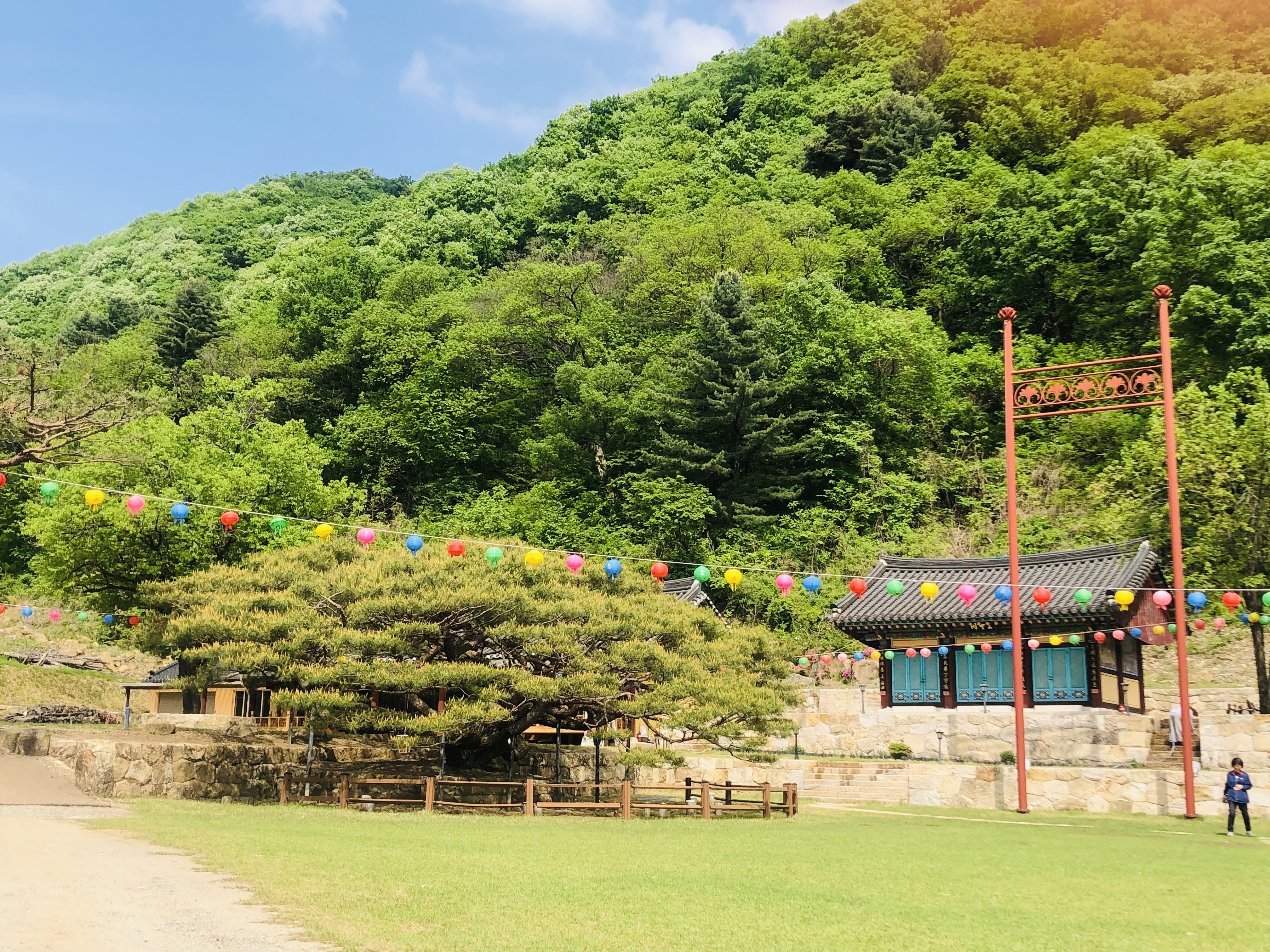 부처님오신날 가볼만한곳