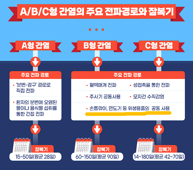 베믈리디정 바로알기_약사가 정리해서 쏙쏙! - B형 간염이란? (Hepatitis B) 베믈리디정 바로알기_약사가 정리해서 쏙쏙! - B형 간염이란? (Hepatitis B)