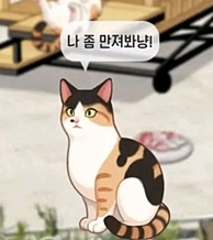 haha ha 양어장 고양이 게임 사전등록 방법