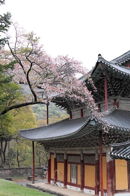 왕실의 불교 경전 출판과 사찰의 역할