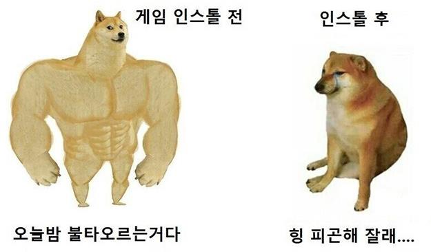  게임 설치 전후