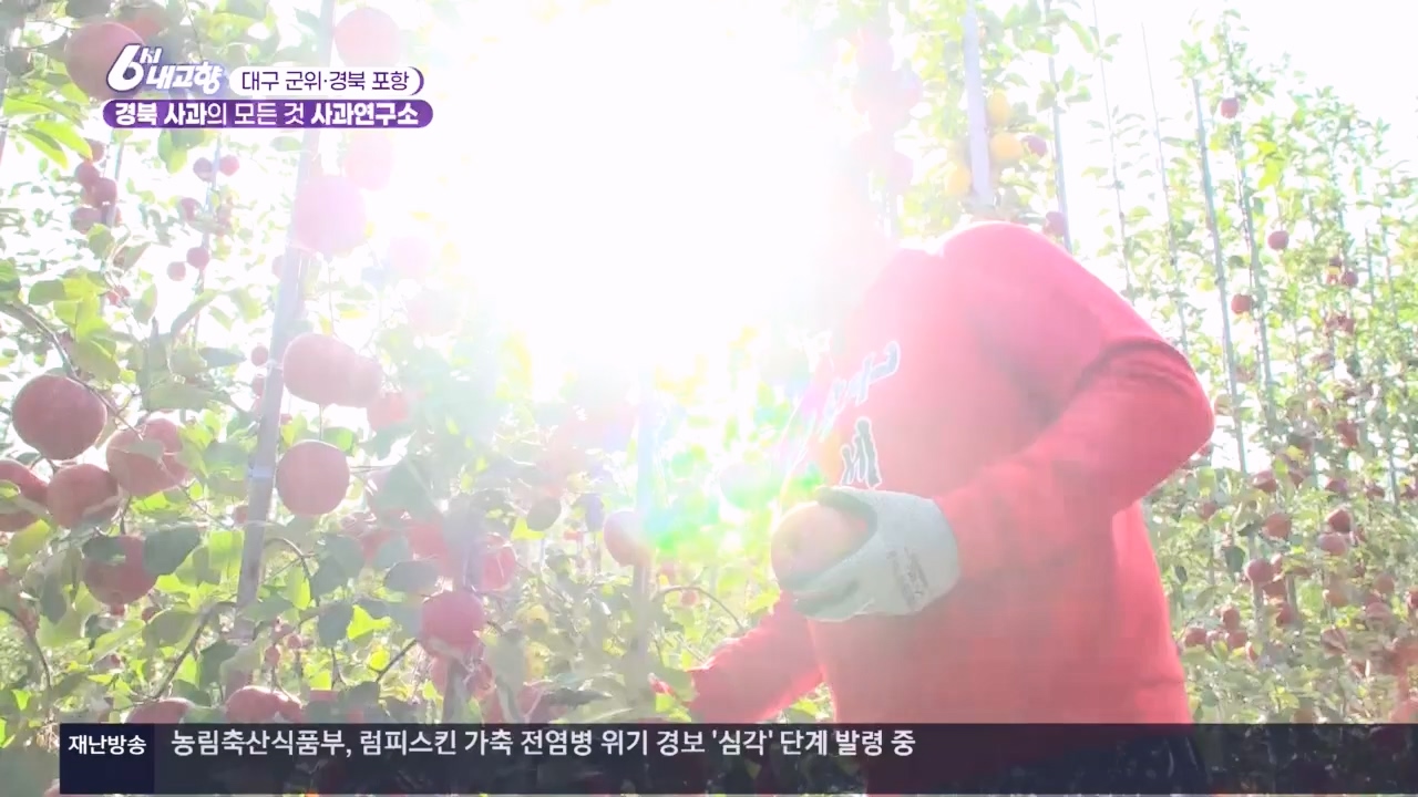 6시 내고향.E7907.231108p.H264-F1RST.mp4_20231108_204724.762.jpg