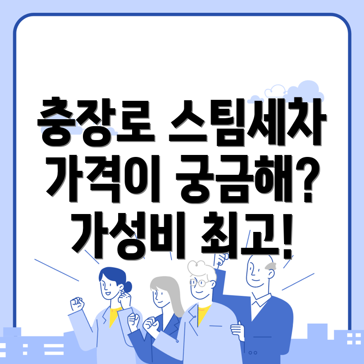 스팀세차