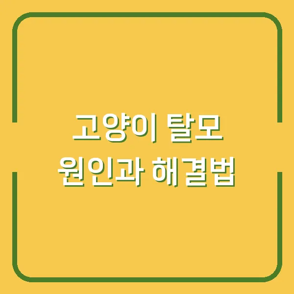 고양이 탈모 원인과 해결법