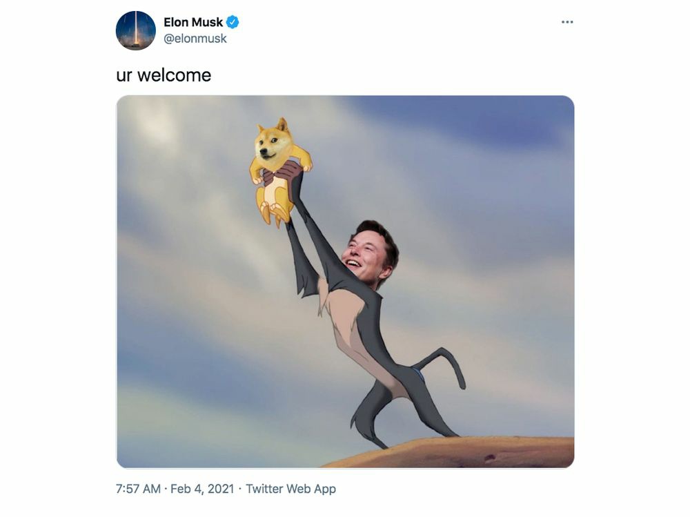  도지 사랑