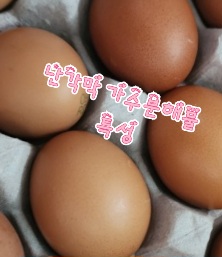 난각막-가수분해물-효능