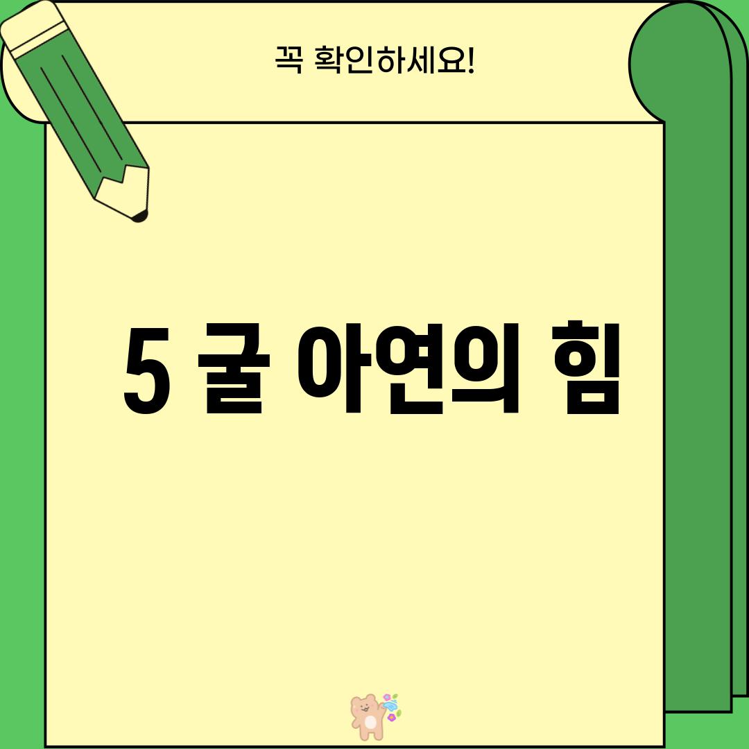 5. 굴: 아연의 힘! 🦪