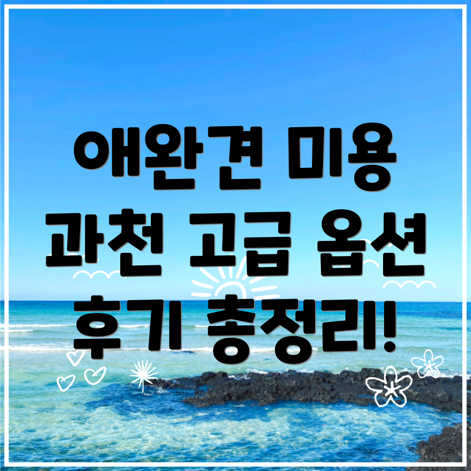 과천 애완견 미용실