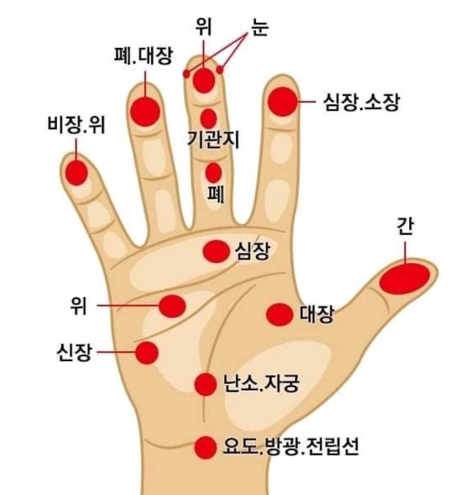 신비코 이미지