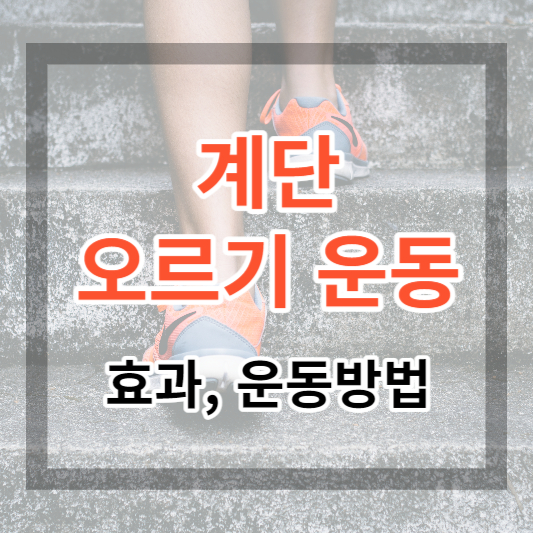  계단 오르기 운동 효과 및 운동 방법, 주의사항 총정리