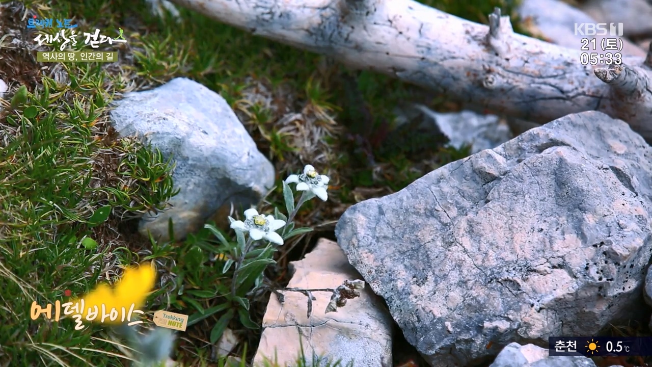 트레킹노트 세상을 걷다.E293.231022p-NEXT.mp4_20231029_165305.243.jpg