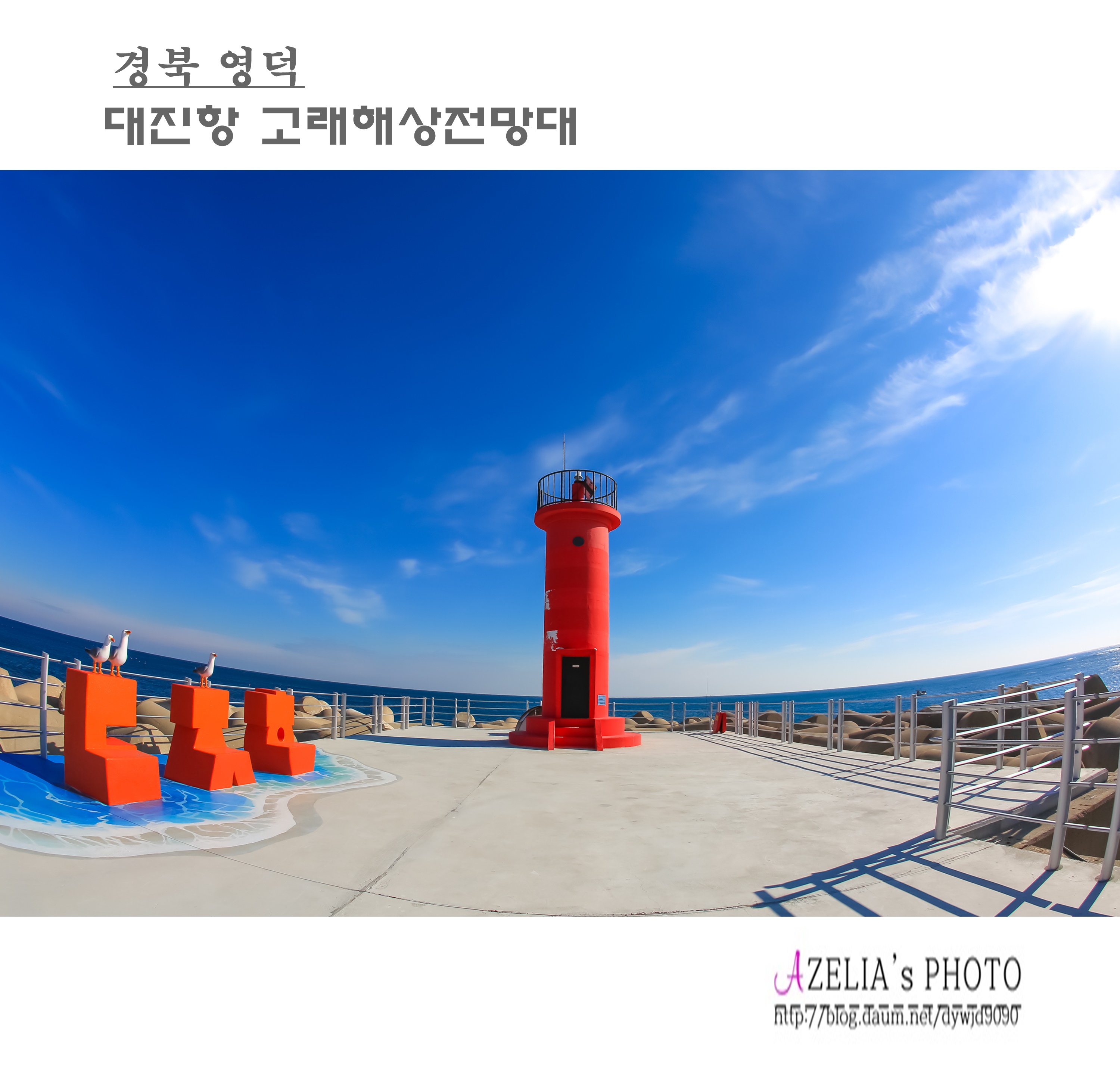 물뿜는고래 이미지
