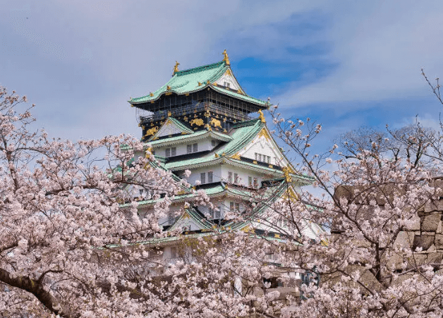 오사카 성과 벚꽃