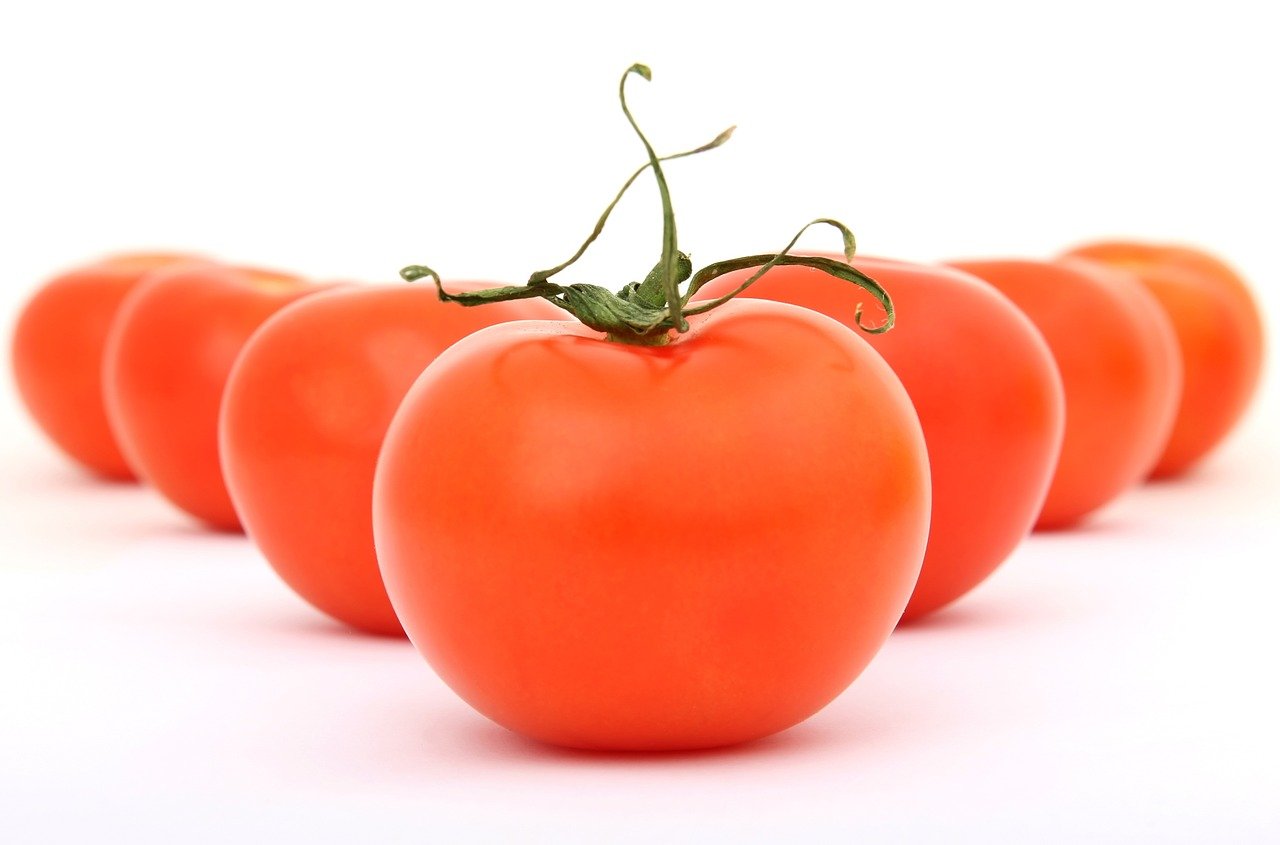 토마토10가지효능과먹는법