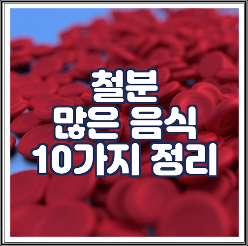  철분 많은 음식 10가지 정리