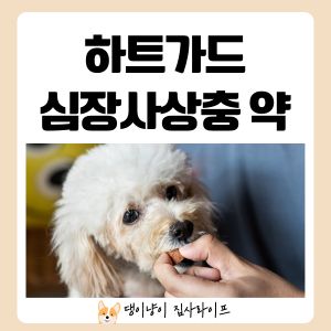 하트가드-심장사상충