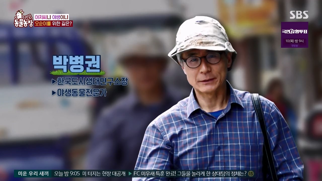 TV 동물농장.E1132.230807p-NEXT.mp4_20230806_164227.764.jpg