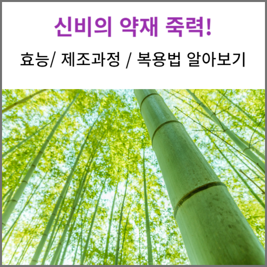 죽력의 효능 제조과정 복용법 알아보기