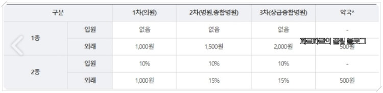 본인부담금(출처-보건복지부)