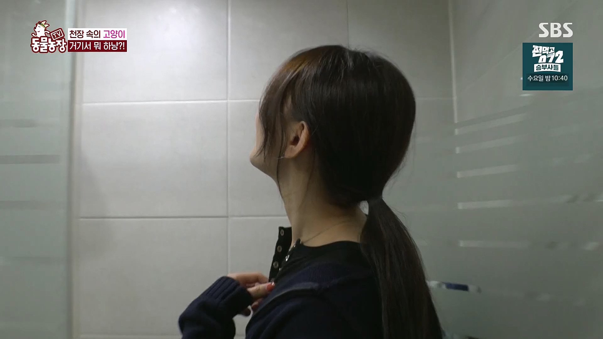 TV 동물농장.E1113.230326p.H264-F1RST.mp4_20230326_172450.228.jpg