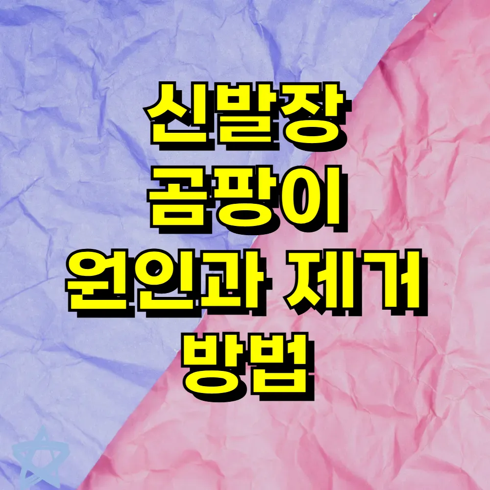 신발장 곰팡이 원인과 제거 방법