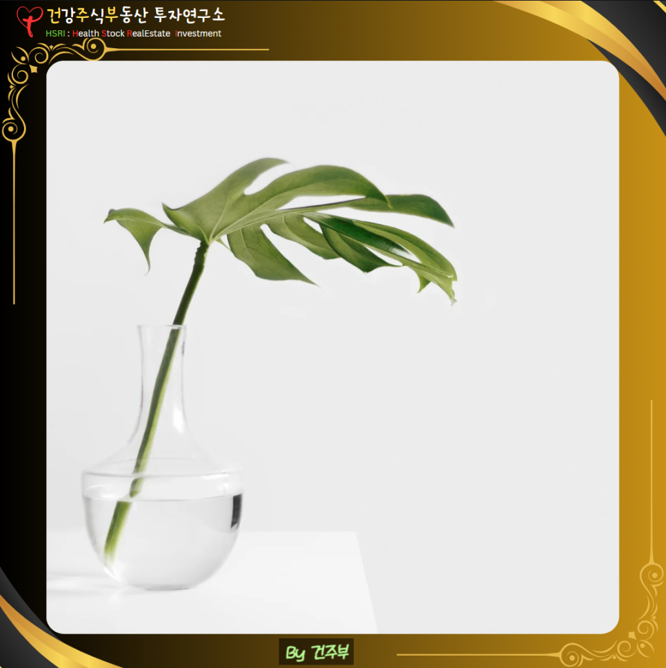 다이소 건강기능식품 종류와 올바를 선택법
(글 그림 : 건주부, 그림 출처 : Canva)