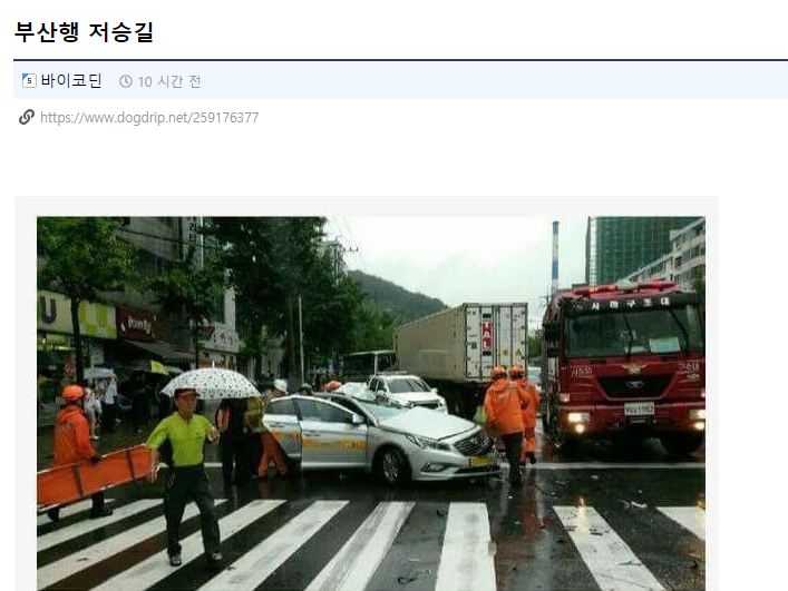  야갤문학레전드] 야갤러의 붓싼 운전 썰